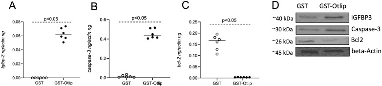 Figure 7