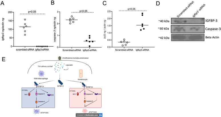 Figure 10