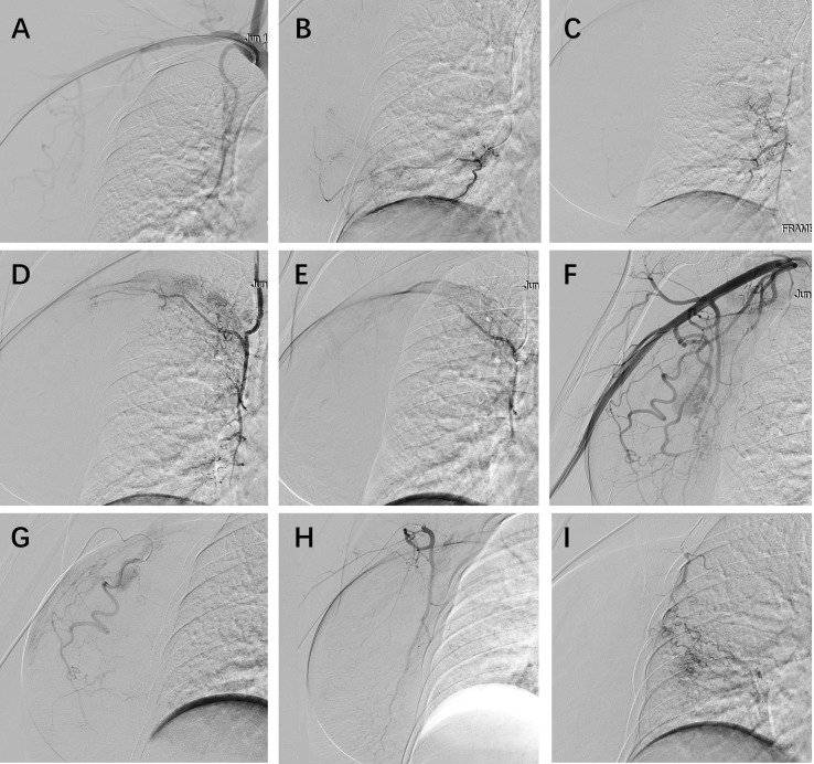 Figure 3