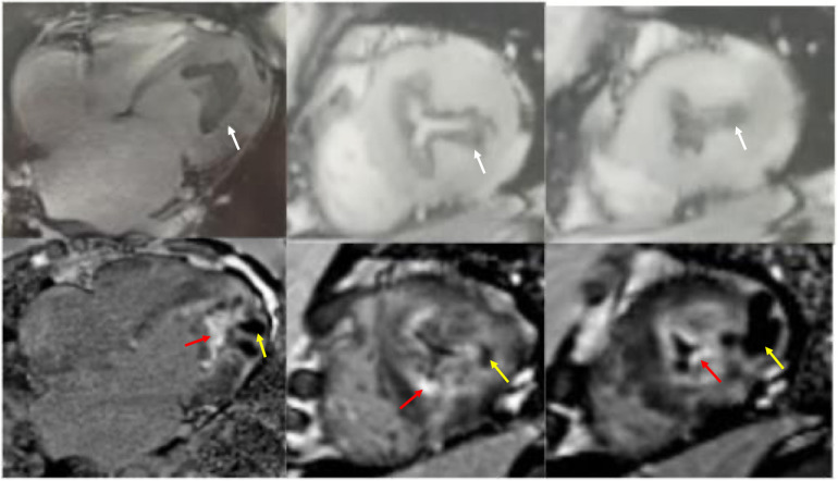 Figure 3