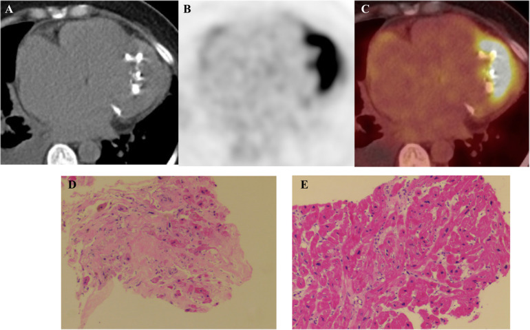 Figure 4
