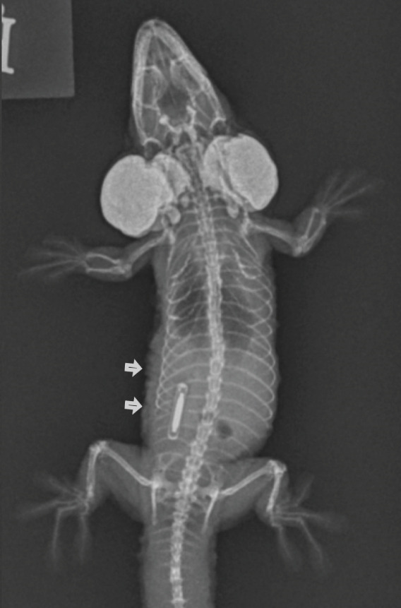 Figure 7