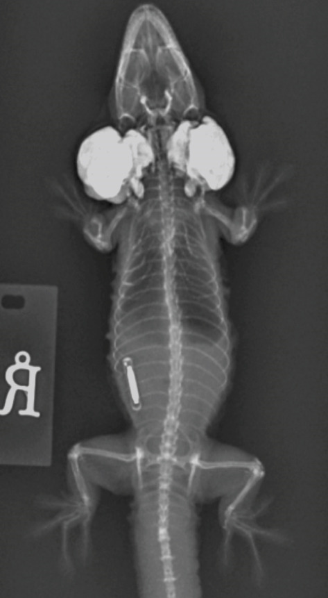 Figure 8