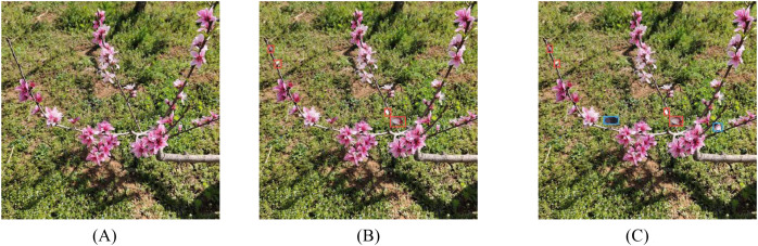 Figure 2
