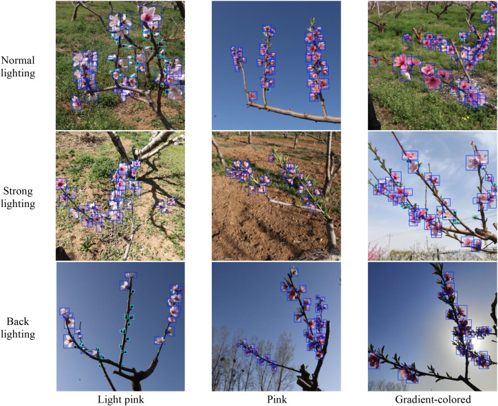 Figure 15