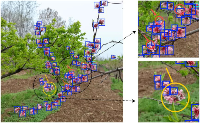 Figure 16