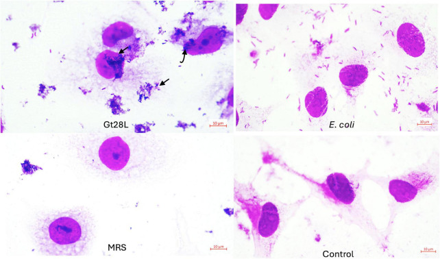 FIGURE 6