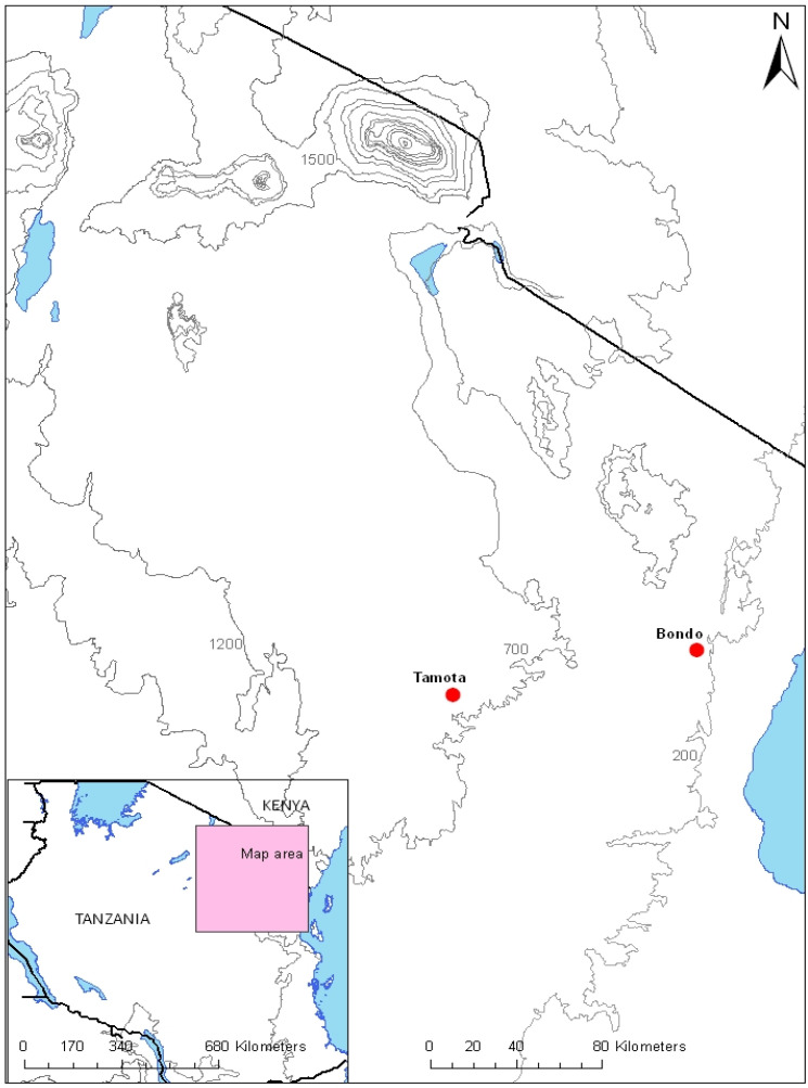 Figure 1