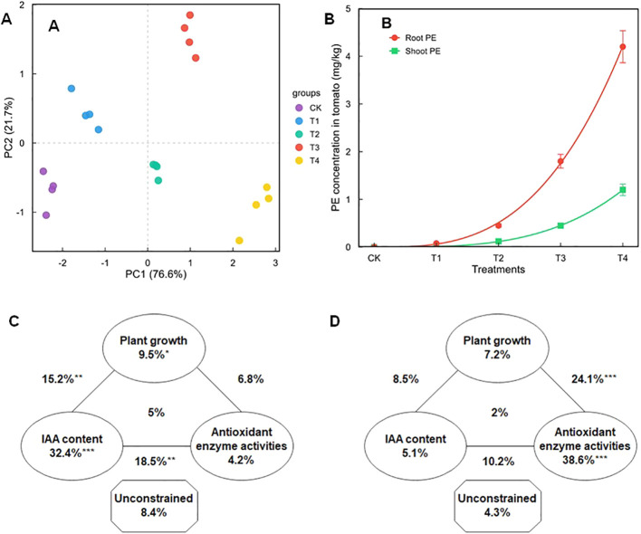 Figure 4