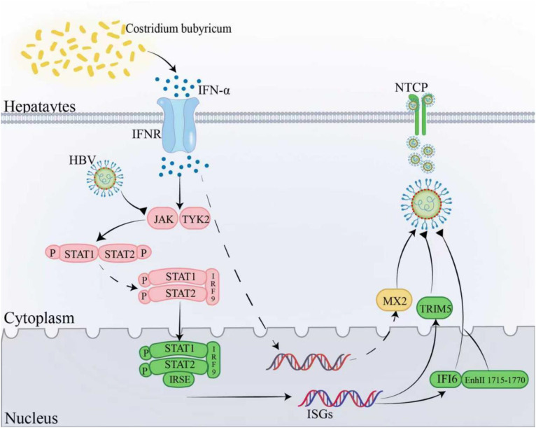 Figure 4