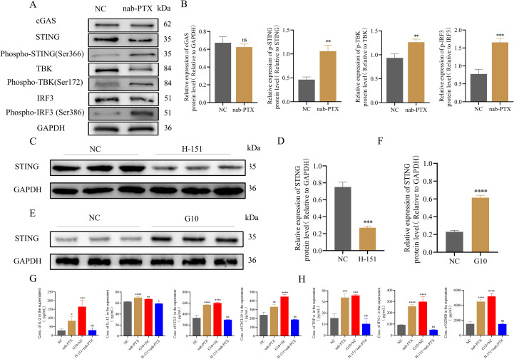 Figure 7