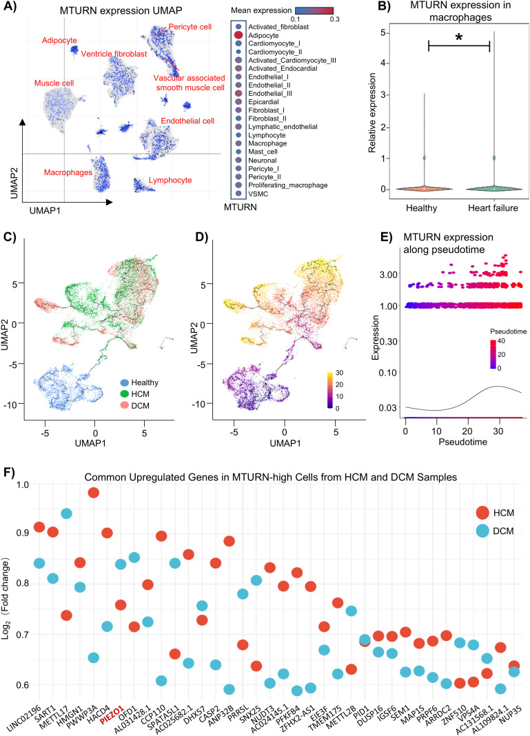 Figure 6
