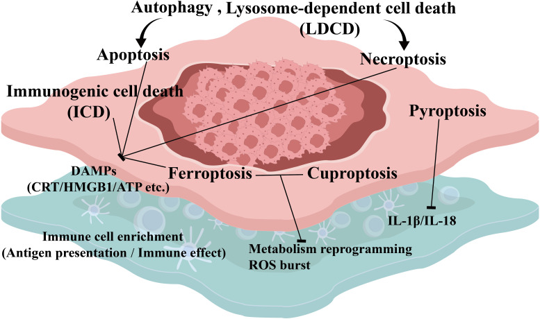 Figure 2
