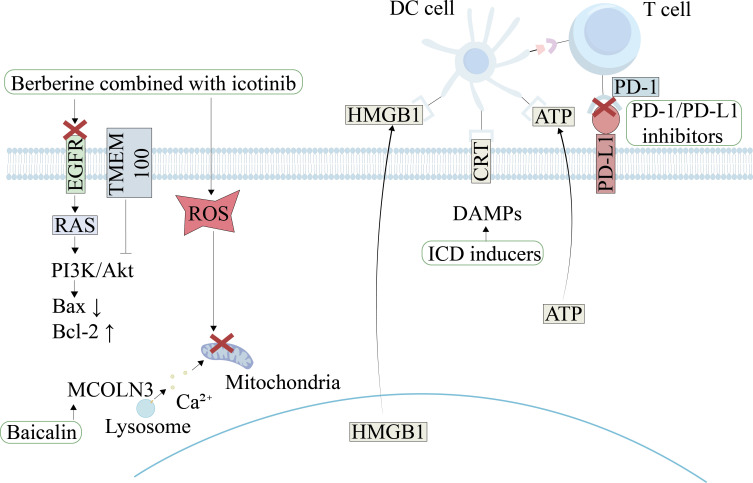 Figure 3