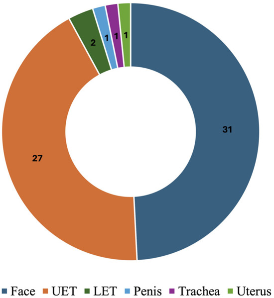 Figure 5