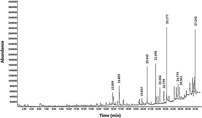 FIGURE 4