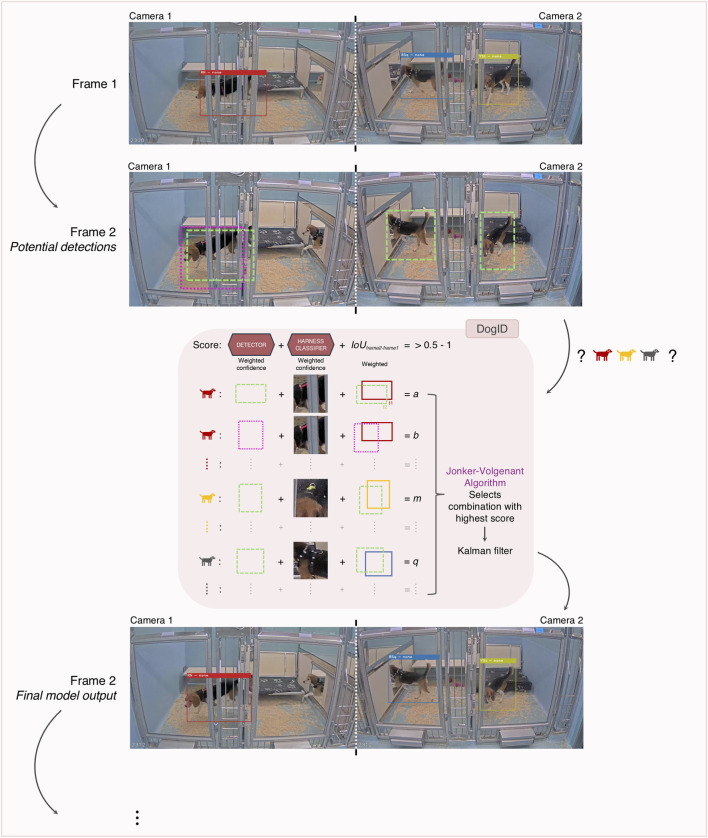 FIGURE 2