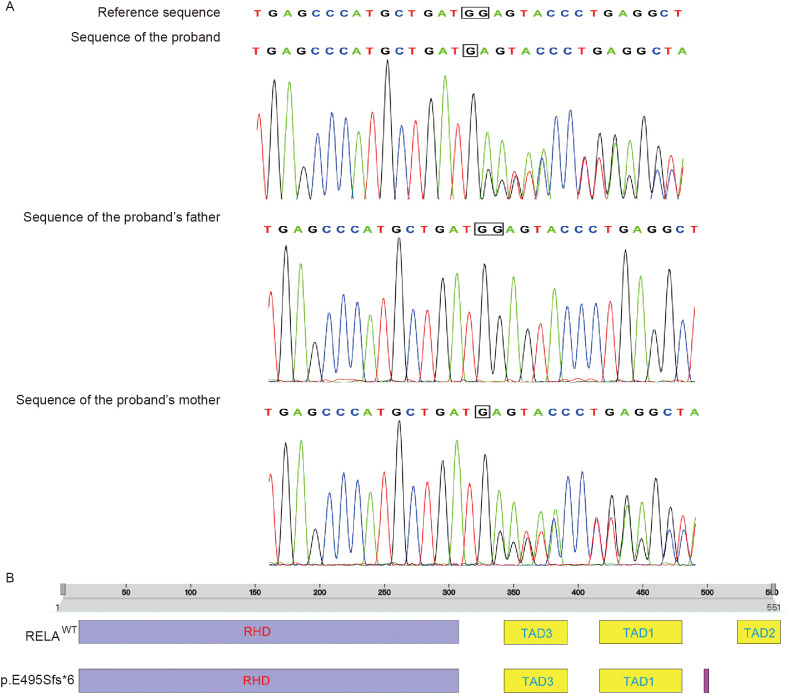 Figure 3