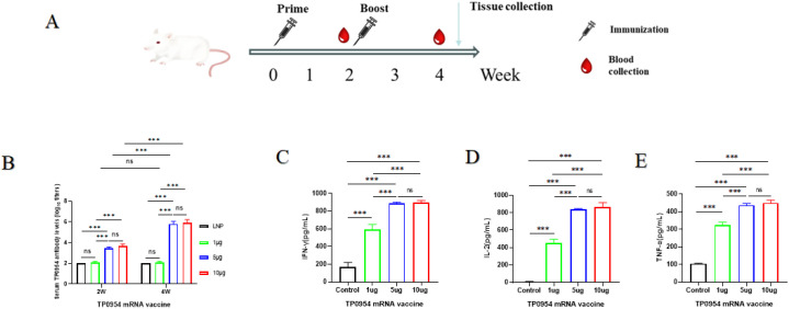 Figure 3