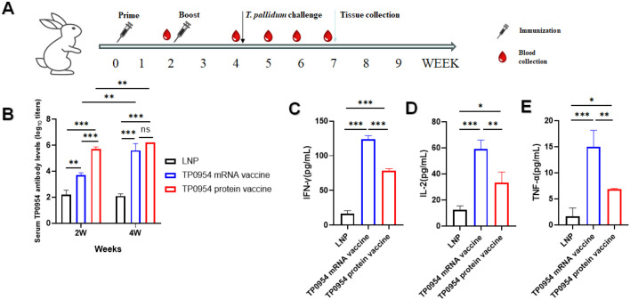 Figure 4