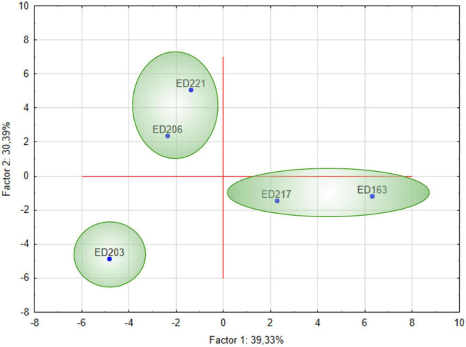 FIGURE 4