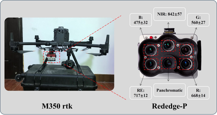 Figure 3