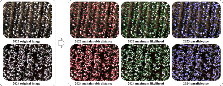 Figure 5