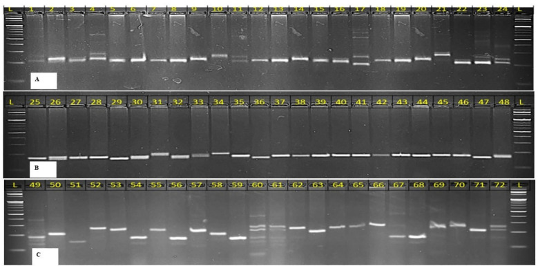 Figure 5