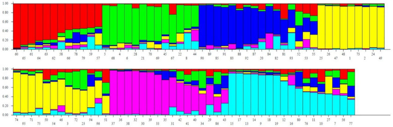 Figure 6