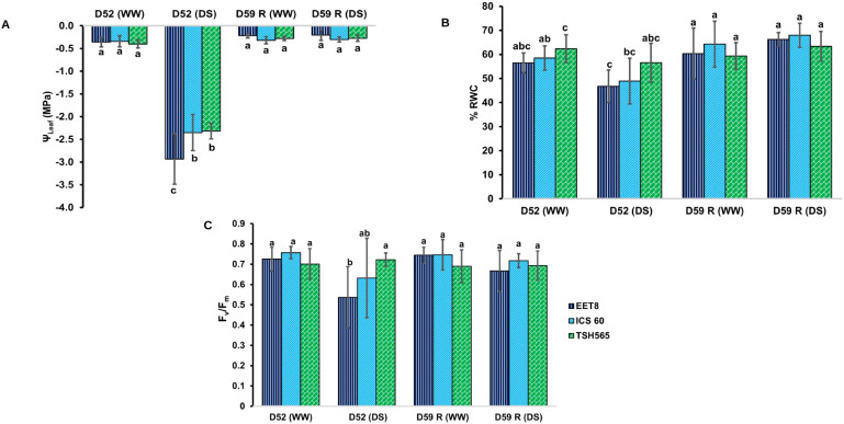 Figure 1
