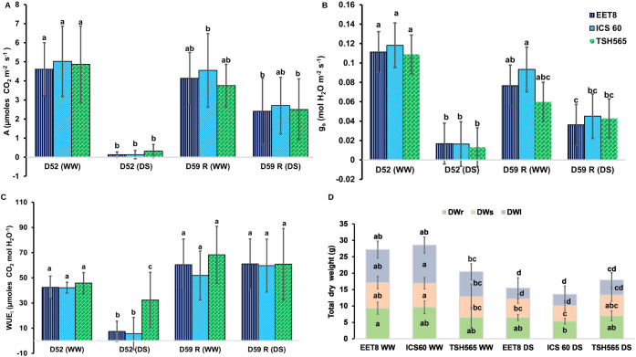 Figure 2