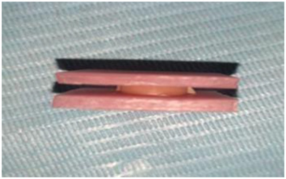 Figure 1