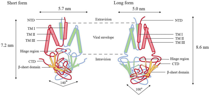 FIGURE 3