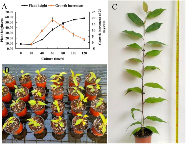 Figure 3