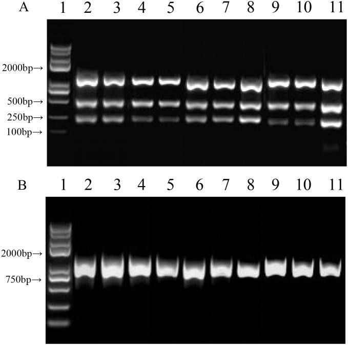 Figure 4