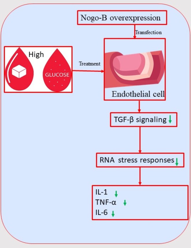 FIGURE 11