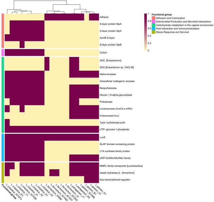 Figure 6