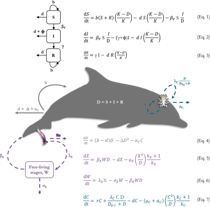 FIGURE 2