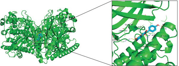 Figure 20