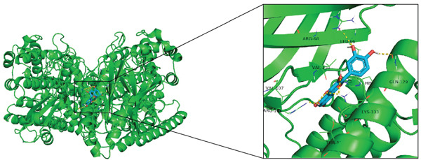 Figure 21