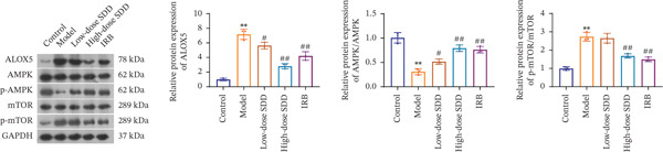 Figure 22