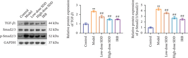 Figure 23