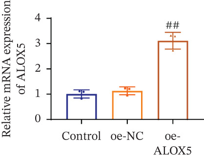 Figure 24
