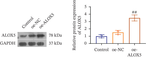 Figure 25