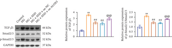 Figure 28