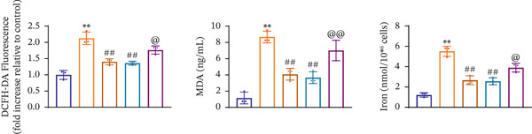 Figure 29