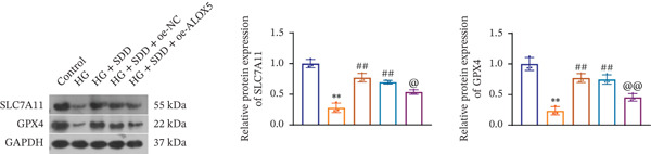 Figure 30