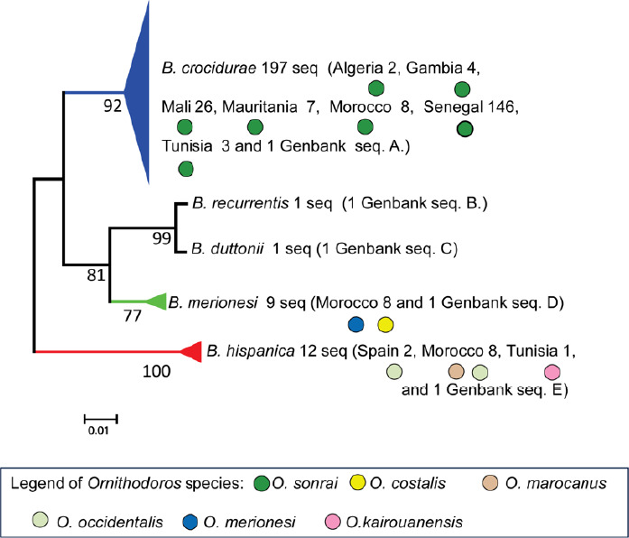 Figure 3A