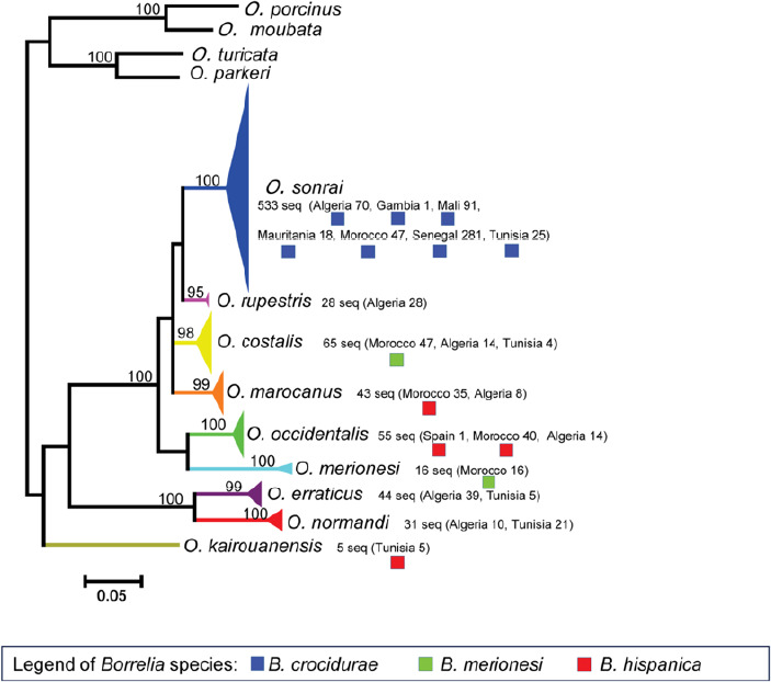 Figure 3B
