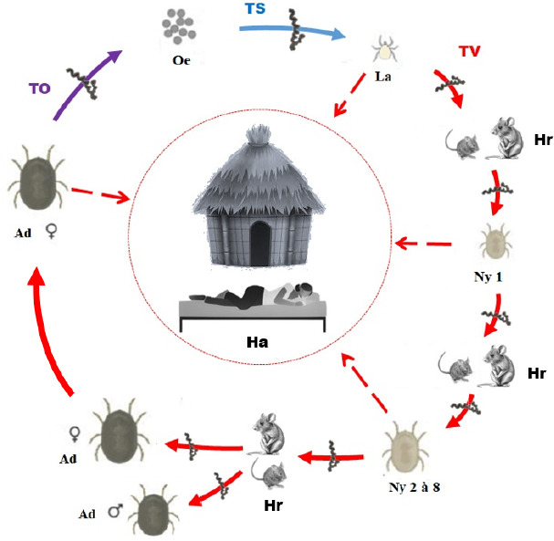Figure 6